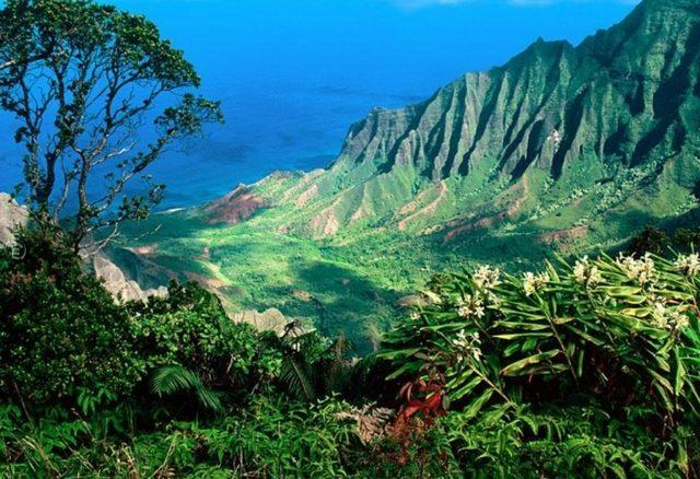 Mark Zuckerberg in 100 Milyon Dolara Cenneti Satın Aldığı İddia Ediliyor! 2