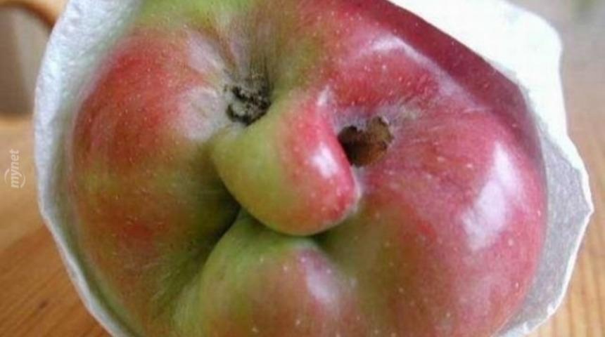 Arkanızdan Kesinlikle Ağlamayacak İbretlik 26 Yemek Fotoğrafı 