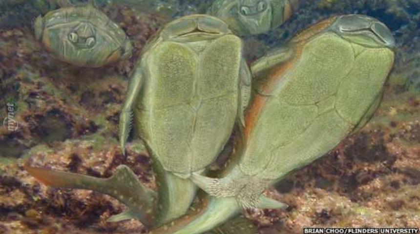 İlk Seks Yapan Canlıya Dair Bilmeniz Gerekenler