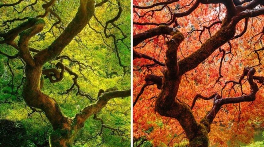 Aynı Manzarayı Farklı Mevsimlerde Fotoğraflarsanız Ne Olur? Cevabı Bu Haberde!