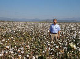 Ulusal Pamuk Konseyi: Pamuk primi en az enflasyon oranı kadar artırılmalı