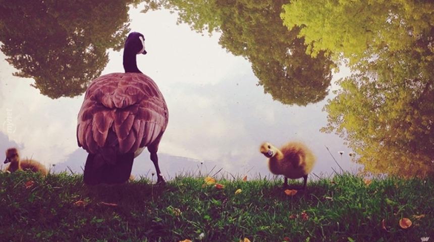 iPhone'la &Ccedil;ekildiğine İnanamayacağınız D&uuml;nyanın En G&uuml;zel 15 Karesi