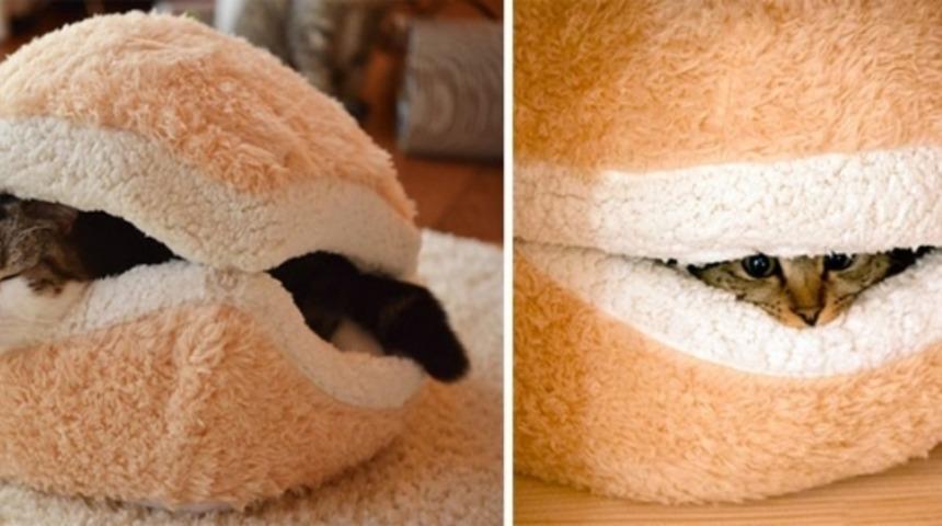 Kedi Severlerin Bayılacağı 20 M&uuml;thiş Mobilya