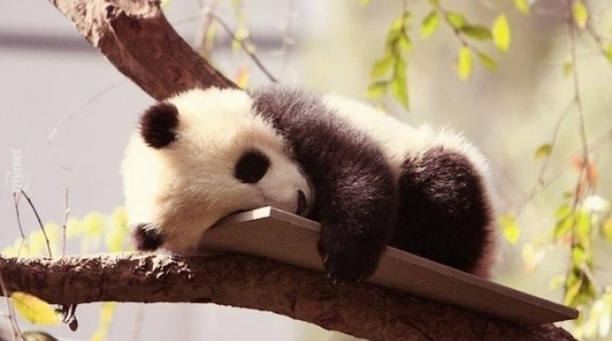 Daha &Ccedil;ok Uykuya İhtiyacınız Olduğunun 6 G&ouml;stergesi