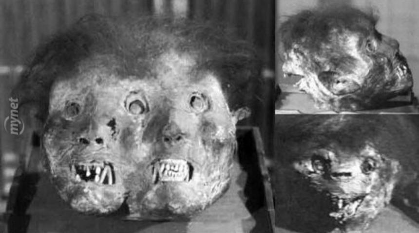 Canavar Dediğin B&ouml;yle Olur