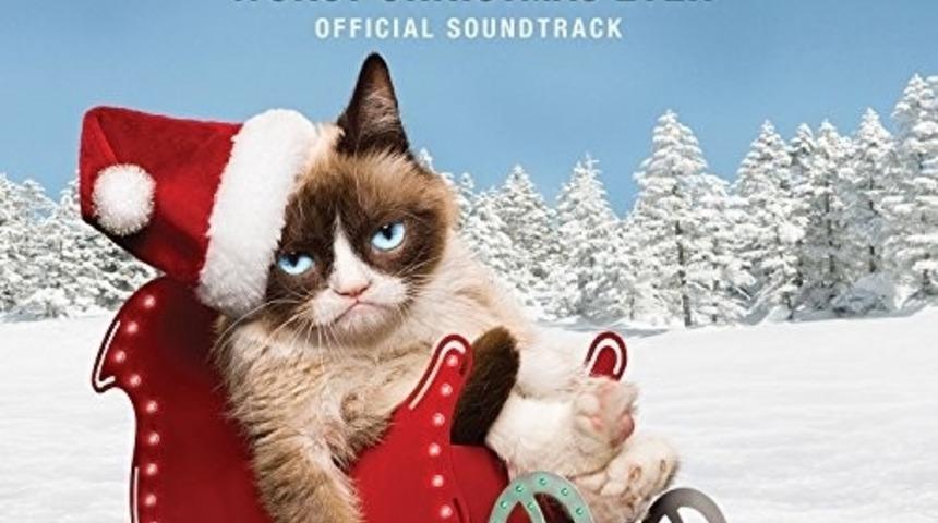 Bu da Oldu! Grumpy Cat İ&ccedil;in Film &Ccedil;ektiler!