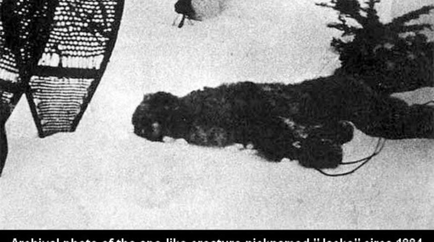 D&uuml;nyanın Gizli Sahiplerine İnanamayacaksınız