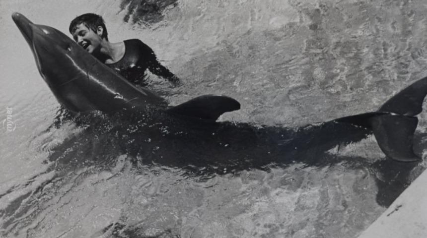 Bir Yunus İle Sevgili Olan Kadının İlgin&ccedil; &Ouml;yk&uuml;s&uuml;!