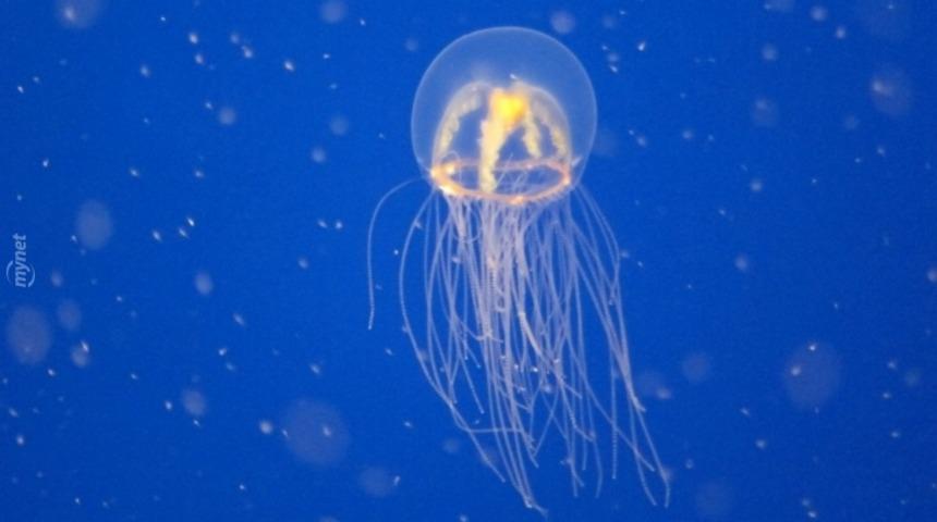 Oxford &Uuml;niversitesi'nin B&ouml;l&uuml;m M&uuml;lakalatlarında Sorduğu Birbirinden İlgin&ccedil; 9 Soru