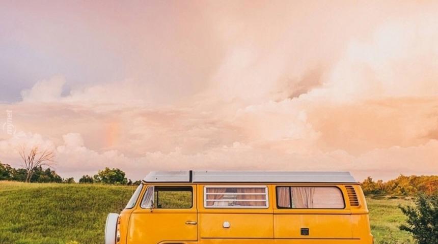 Bu Fotoğraflarda Köpek Momo'yu Bulmak Bir Mucize