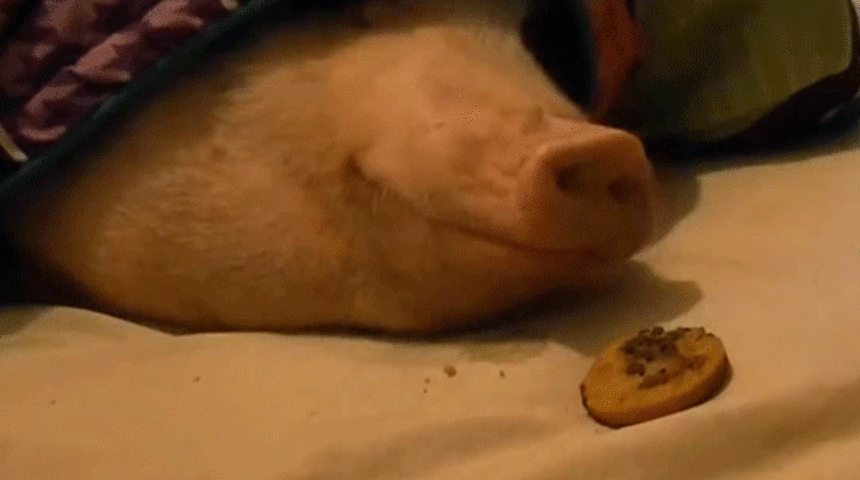 Kışın Geldiğine Sevinmek İ&ccedil;in 9 Sebep