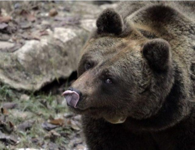 Rusya İle İlgili 6 "Vay Anasını" Dedirtecek Madde 4