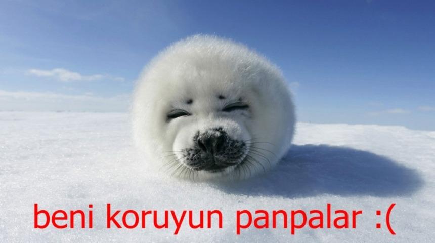 Fok Avlayan Hatem Yavuz'dan Cevap Var: ''Fok You''