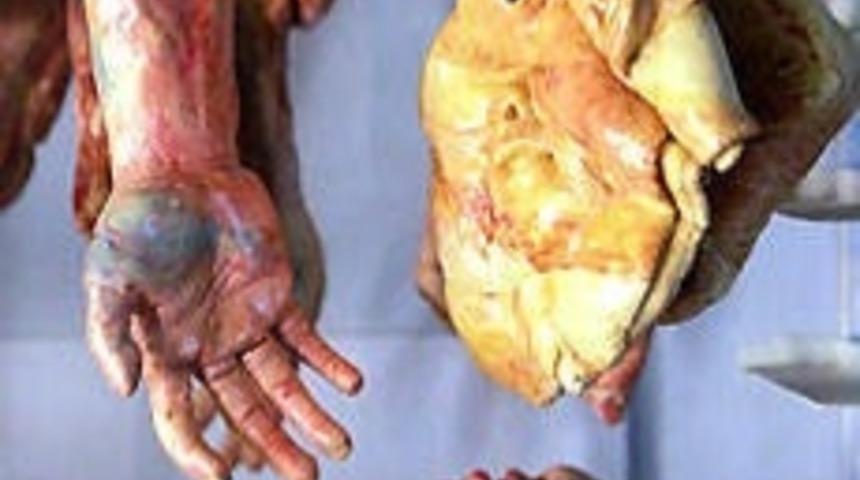 Cehennem Pastanesine Hoş geldiniz!