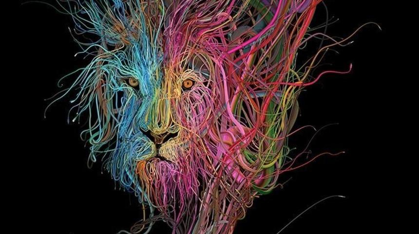 Bu Kablolar Sanat Eseri