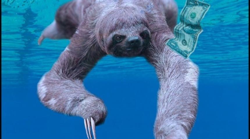 İkonik Alb&uuml;m Kapaklarındaki İnsanın Yerine Tembel Hayvan Gelirse