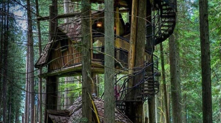 İ&ccedil;inde Yaşamak İsteyeceğiniz 10 Ağa&ccedil; Ev