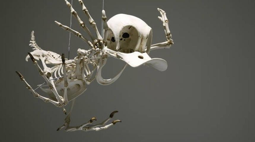 10 &Uuml;nl&uuml; &Ccedil;izgi Film Kahramanının İskeleti