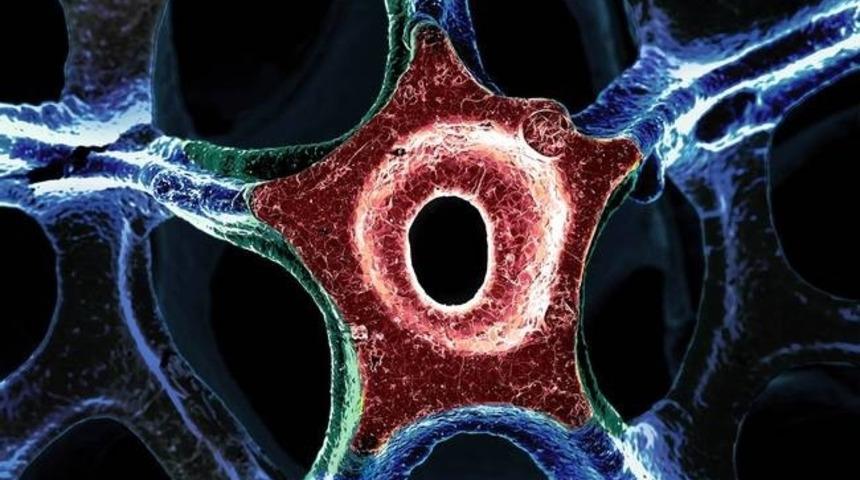 Kim Demiş M&uuml;hendisler Sıkıcı Olur Diye?