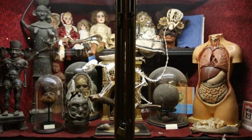 D&uuml;nyanın En T&uuml;yler &Uuml;rpertici M&uuml;zesine Hoş Geldiniz!