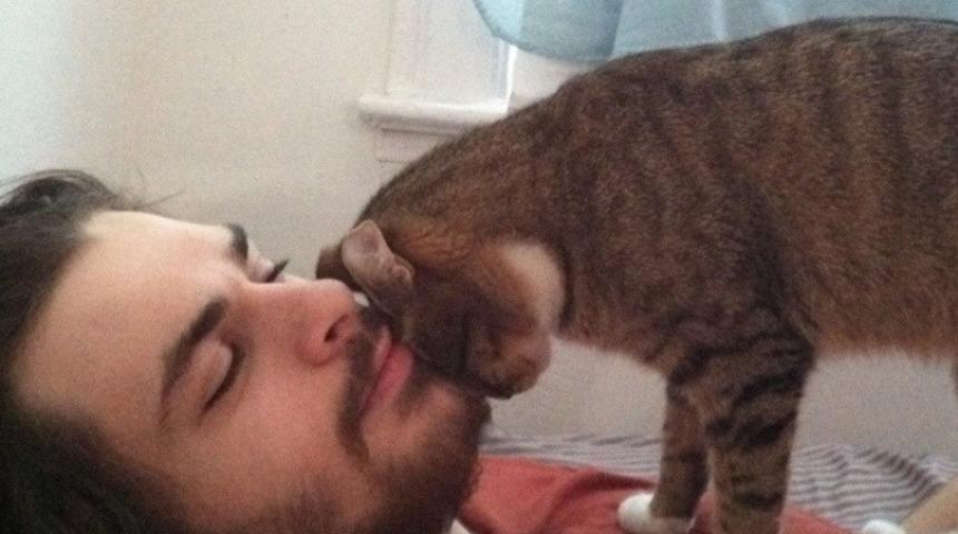 Kedinizin Size Sevgisini G&ouml;stermesinin 15 Sinir Bozucu Ama Sevimli Şekli