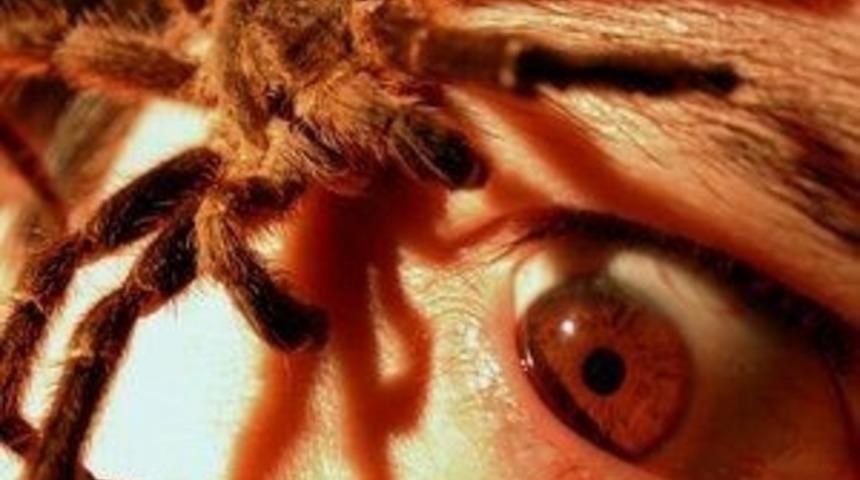 En Cesurların Bile Y&uuml;reğini Hoplatan 10 Şey