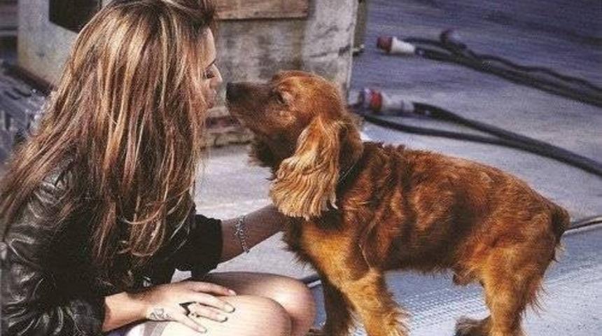 G&uuml;zel Kadınları Tavlamakta Uzman 7 &Ccedil;ılgın K&ouml;pek