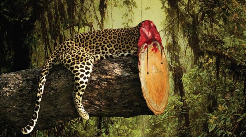 Orman Katliamından Muhtemelen Vazgeçirecek 4 Muhteşem Tasarım!