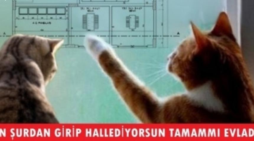 Beşiktaş Karanlıktan Aydınlığa &Ccedil;ıktı, Sosyal Medya Capslerle Yıkıldı