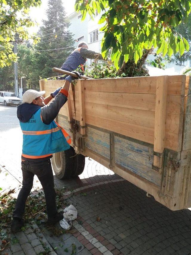 Akçakoca’da temizlik çalışmaları hız kesmiyor