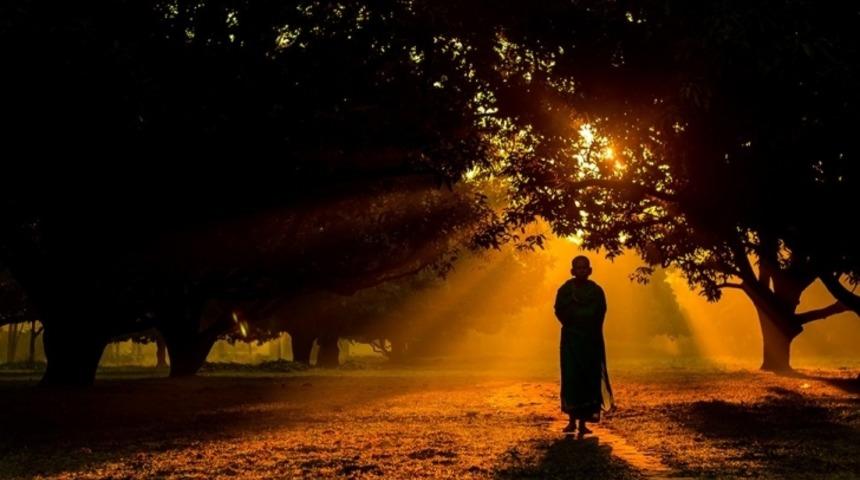 2015 Sony D&uuml;nya Fotoğraf&ccedil;ılık &Ouml;d&uuml;lleri Aday Fotoğrafları Nefesinizi Kesecek