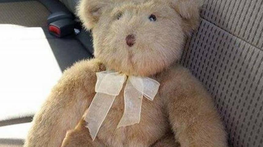 Bu Oyuncak Ayının İ&ccedil;inden &Ccedil;ıkan Şey Kabuslarınıza Girecek!