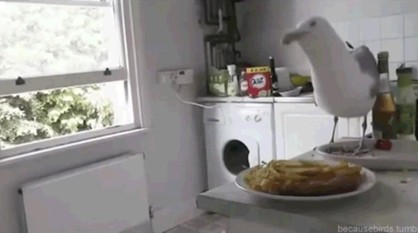 &Ouml;ğrendiğinizde Hayatınızı Sorgulatacak Şaşırtıcı 10 Ger&ccedil;ekle Y&uuml;zleşin! 