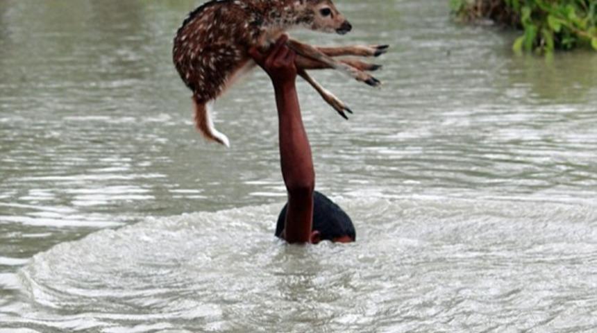 Kahraman Gen&ccedil; Yavru Ceylanı Selin İ&ccedil;inden Kurtardı!