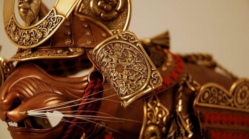 Kedinize İşlemeli Zırh Almak İster Misiniz?