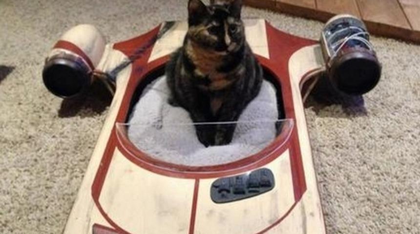 Star Wars Yatağına Sahip Kedinin Keyfine Diyecek yok!