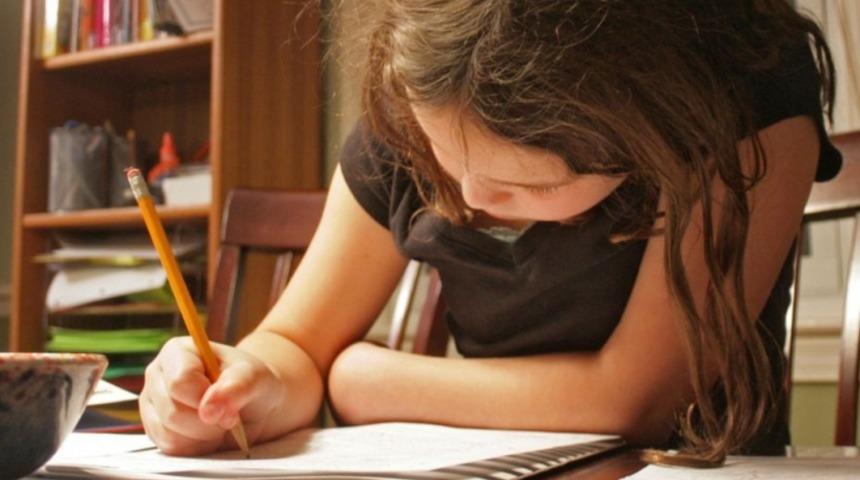 Uzmanlar A&ccedil;ıkladı: Ev &Ouml;devlerinin Kimseye Faydası Yok!