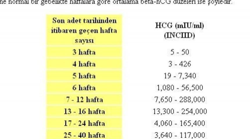Hamilelik Nasıl Hesaplanır?