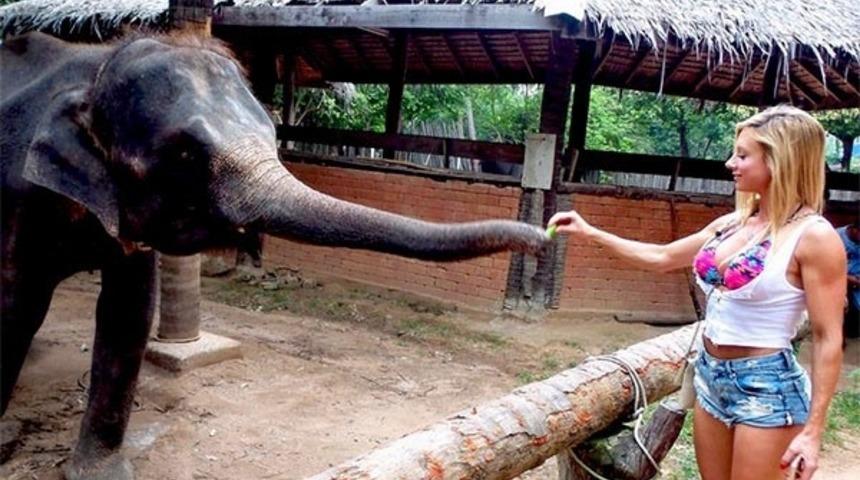 Paige Hathaway'in Poposu Fil Tarafından Kırba&ccedil;landı!