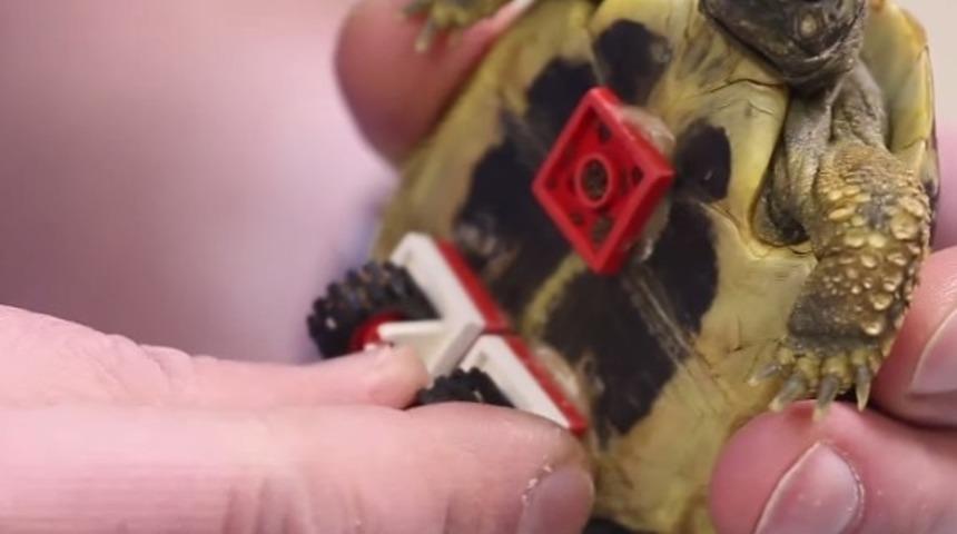 Kaplumbağası İ&ccedil;in Legodan Tekerlekli Sandalye Yaptı