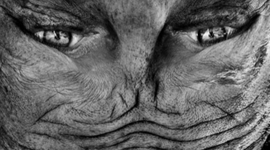 Bu Yaratıkları Aslında Her Gün Görüyorsunuz