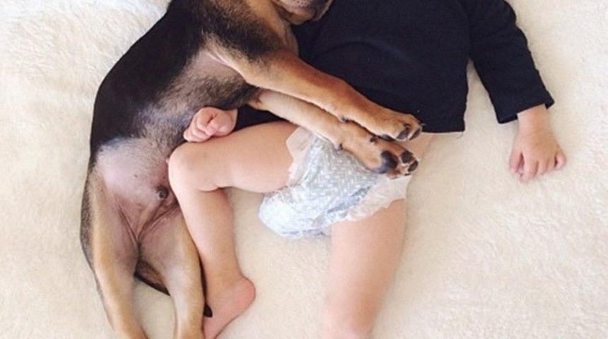 Birlikte Uyumayı Seven Bebek ve K&ouml;peğin İnsanın İ&ccedil;ini Isıtan Fotoğrafları