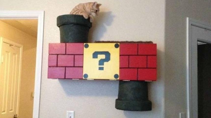 Mario Oyununa Benzeyen Bu Kedi Oyun D&uuml;zeneği O Kadar G&uuml;zel Ki Bir Tane de Siz Yapmak İsteyeceksiniz