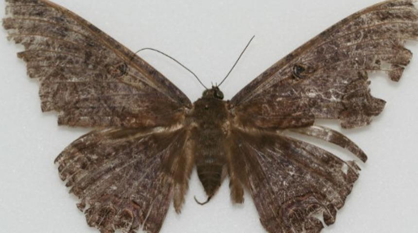 Dünyanın 10 Ülkesinden 10 Saçma Batıl İnanç