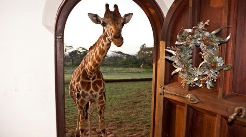 Aklınızın Kalacağı 13 Muhteşem Otelle Hayallerinizi Tatile &Ccedil;ıkartın