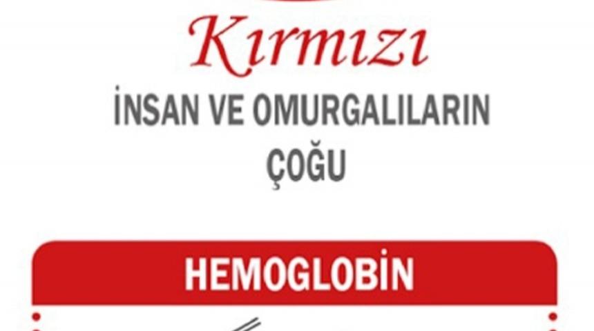 Her Canlının Kanı Kırmızı Değildir!