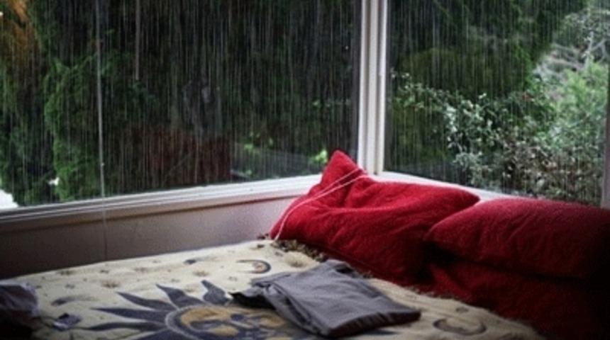 İnsanı Sakinleştiren 20 Gif