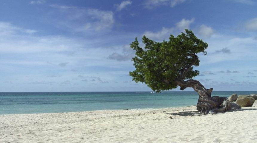 Kış Mevsimine İnat D&uuml;nyanın En G&uuml;zel 10 Sahili