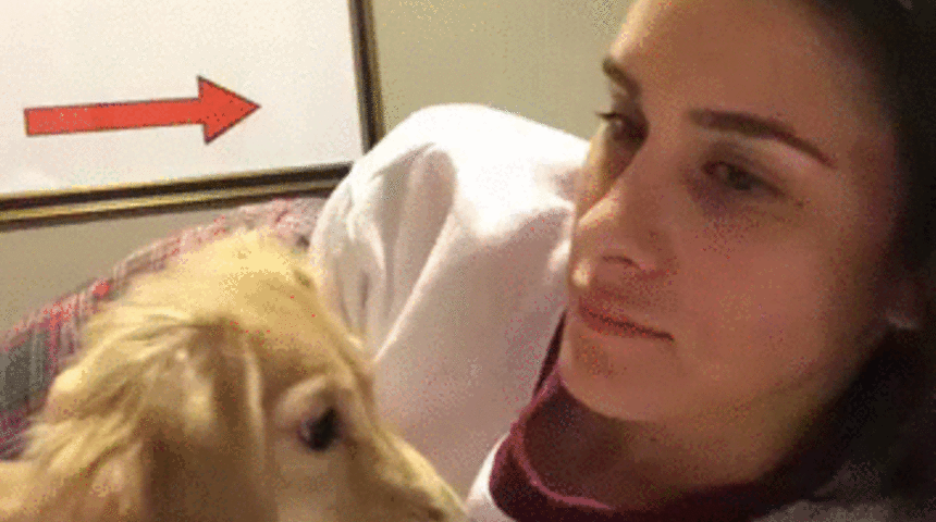 Bug&uuml;n Kahkaha Atacağınız 10 Hayvan GIF'i