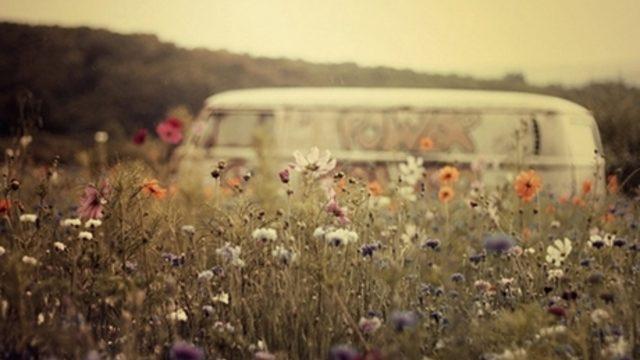 Hippi İsmin Hangisi?